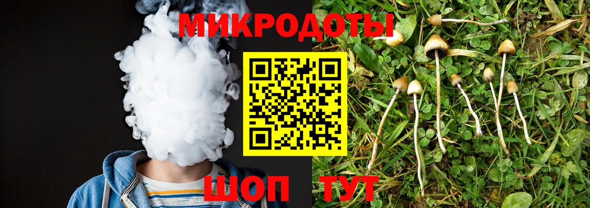 Галлюциногенные грибы Psilocybe Ангарск